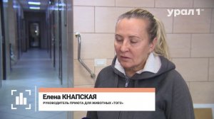 07.10.25 URAL1: Всемирный день защиты животных