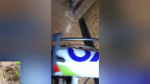 Мой питбайк на котором я буду снимать покатушки