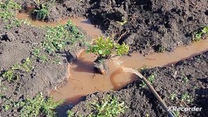 БУРЕНИЕ ПОД ВОДУ.🏡🎼 НОМЕР ТЕЛЕФОНА+7 987 407-92-07 БУЛАТ👍