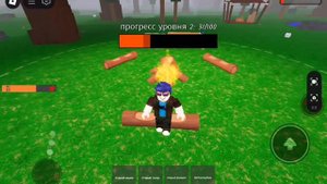 пытаюсь приручить волка