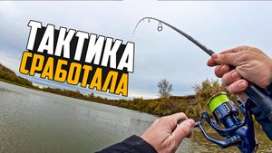 ИСКАЛ И НАШЕЛ! ЛОВЛЯ СУДАКА И ОКУНЯ НА СПИННИНГ В ОКТЯБРЕ 2025