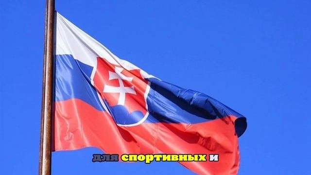 В Словакии при крушении спортивного самолета WT9 Dynamic погиб пилот