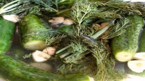 Малосольные огурцы на минеральной воде