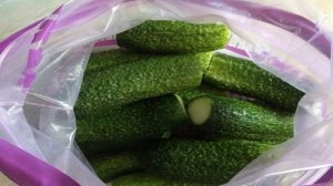 Малосольные огурчики с чесноком