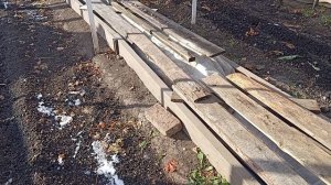 Виноград Красноярска. Сергей Будрис. 8-902-980-79-86.