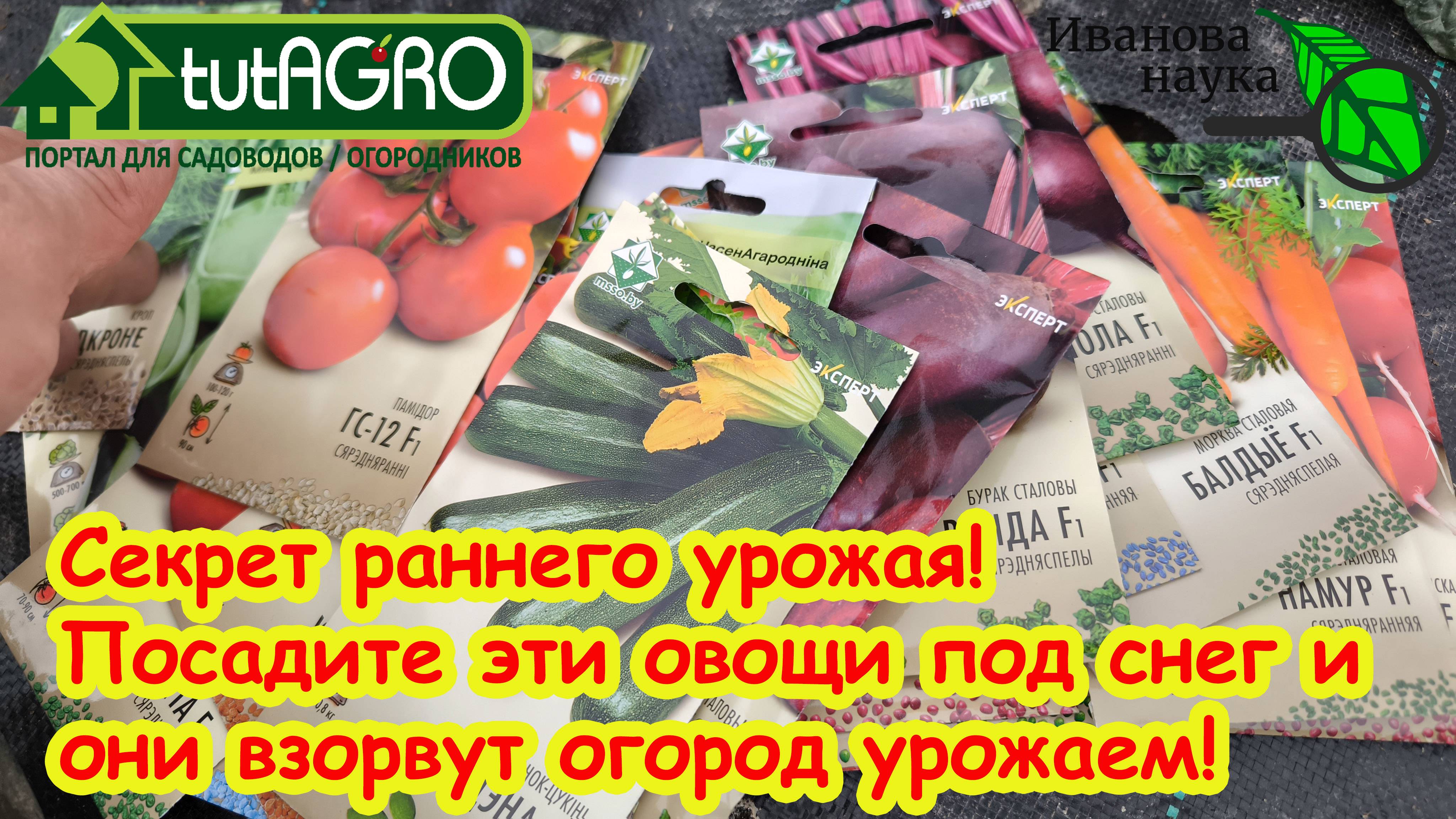 ДОЛГОЖДАННОЕ ВИДЕО! ЧТО ИЗ ОВОЩЕЙ ПОСЕЯТЬ ПОД ЗИМУ: от традиционных до неожиданных. Правила посева.