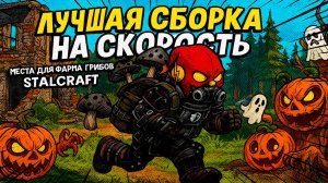 СОБРАЛ СБОРКУ НА СКОРОСТЬ ДЛЯ БЫСТРОГО ФАРМА ГРИБОВ В STALCRAFT: X!