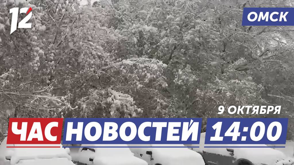 Сибирь в снегу / Киберпреступления / Майкл Маклауд в «Авангарде». Новости Омска