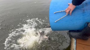 copy_5FDCAC28-528E-4E84-B72A-F4B883AA5045