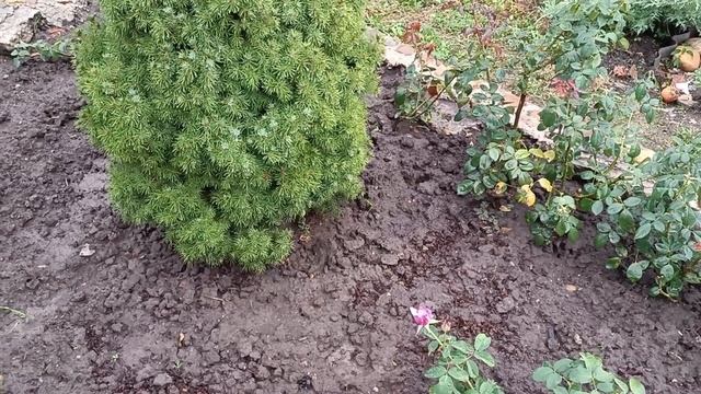 Наша жизнь - только держись. 09 - 07. 2025