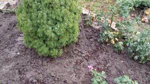 Наша жизнь - только держись. 09 - 07. 2025