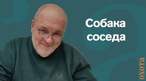 Собака соседа. Валерий Кузенков о конфликтах