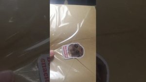 распаковка стикеров 👌🏻🧐🤣🤣💘🐈⬛🥰❤️👌🏻🧐