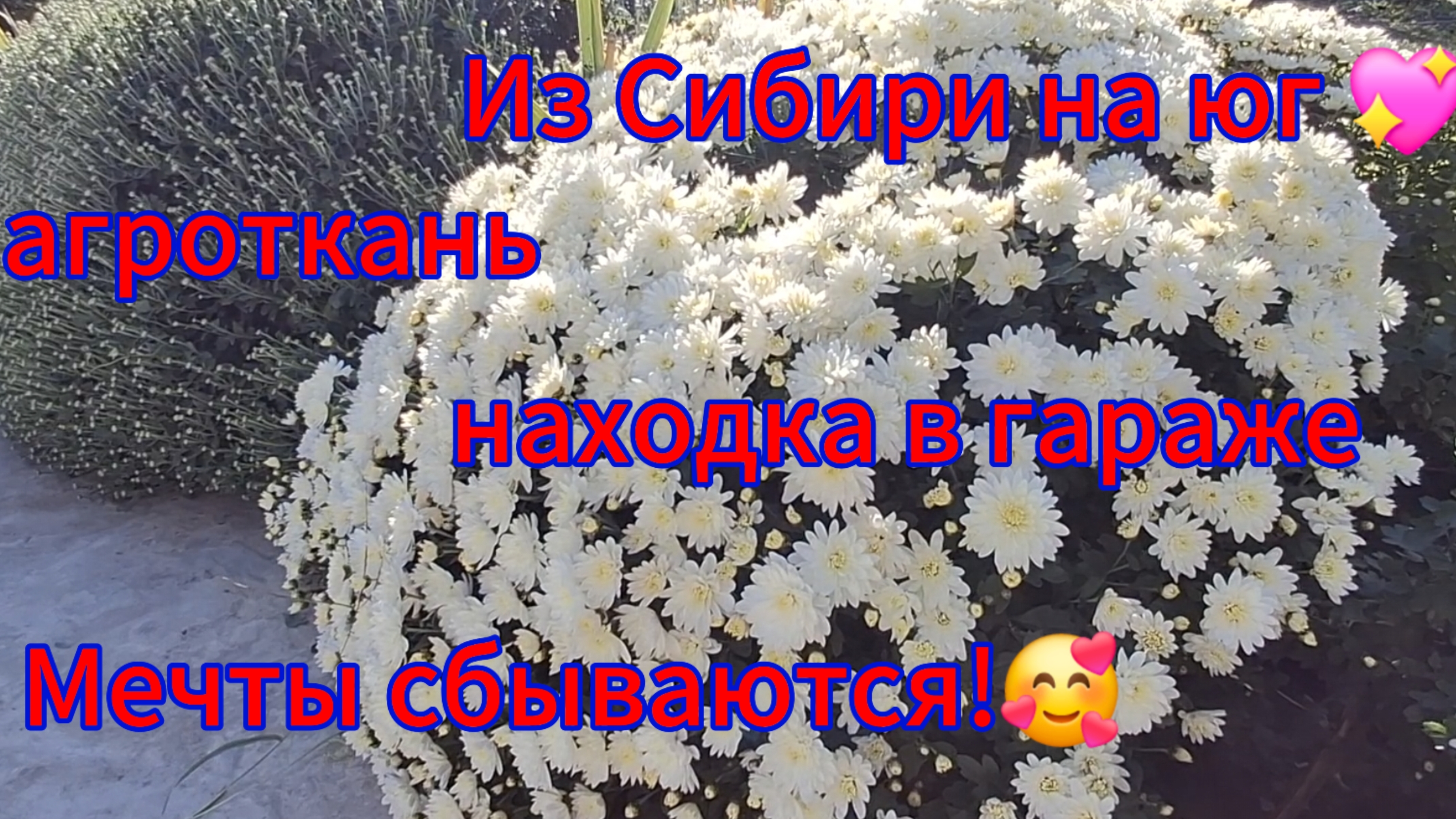 09-10-2025 Переезд из Сибири на юг 💖/Купили дом на юге ☀️/Уборка в гороже/Интересная находка/Цветы/