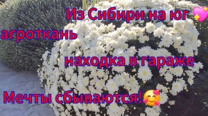09-10-2025 Переезд из Сибири на юг 💖/Купили дом на юге ☀️/Уборка в гороже/Интересная находка/Цветы/