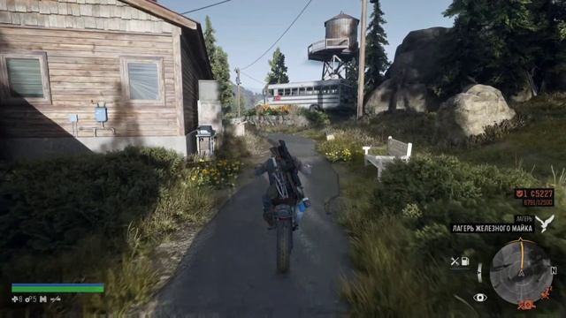 Days Gone #18.