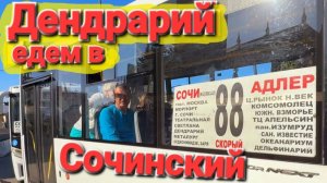 #Сочи Вокзал. Дендрарий цены. Верхняя часть парка. Канатная дорога