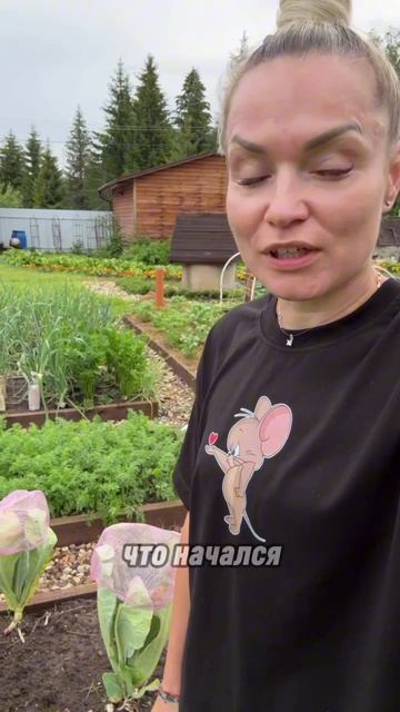 Обманываем капусту