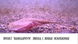 Проект "Палюдариум". Эпизод 1. Живые ископаемые