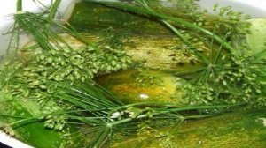 Малосольные огурцы