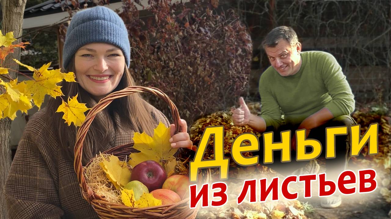 Листья как удобрение СЕКРЕТ пользы из 