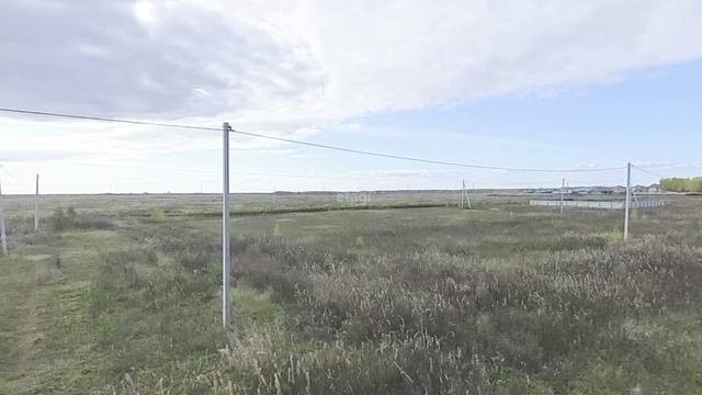 9999704, Насекина