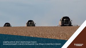 Завершается этап уборочных работ, знаменующий собой очередной год труда и заботы о земле