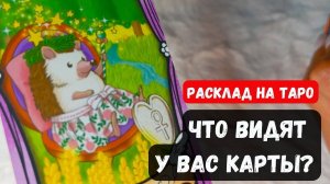 ♣️ЧТО ВИДЯТ У ВАС КАРТЫ❔♦️🔮 Гадание на таро онлайн✨Vedascara