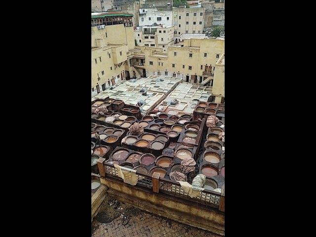 Красильни. Фес. Марокко