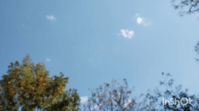 Применение креолина. Подготовка птичника к зиме. Жизнь на юге.
