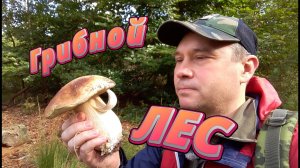 Грибной лес