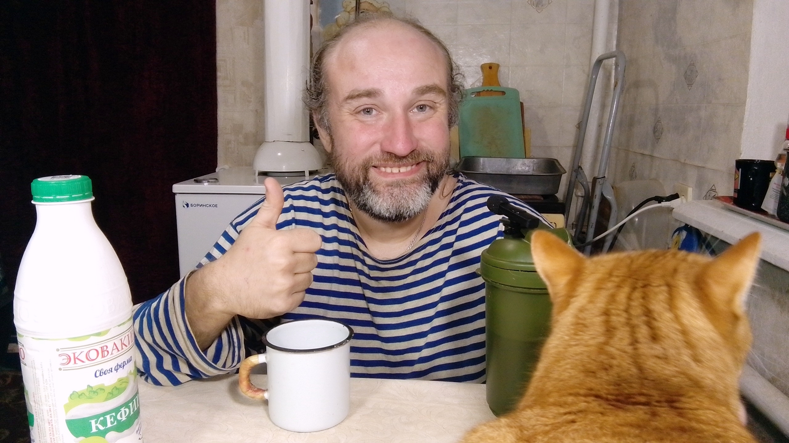 ужин с Рыжулей. не болтайте ерундой про моего кота. мукбанг. обжор. еда на камеру. диета. шизофрения