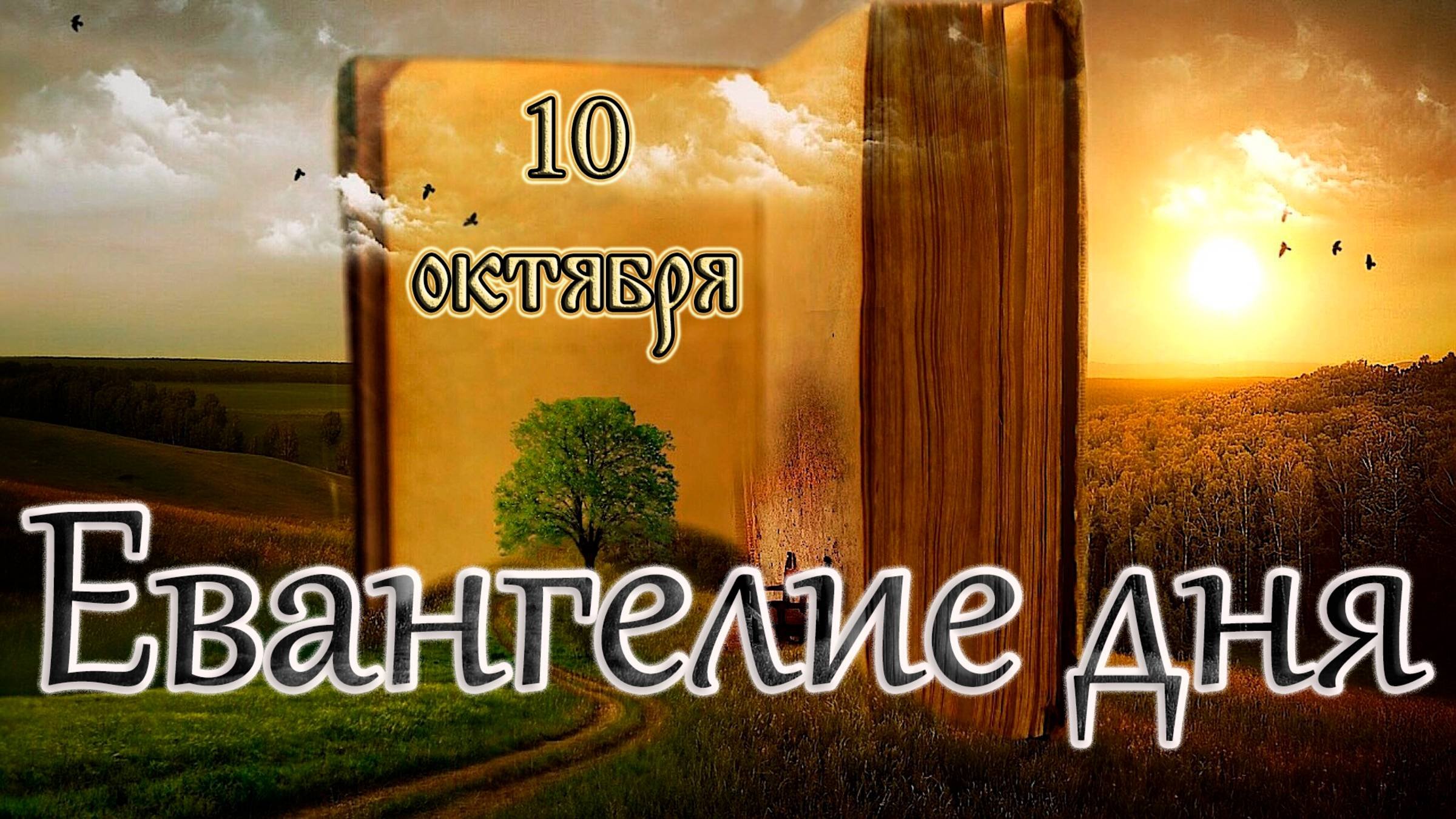 Апостол, Евангелие и Святые дня. Прп. Савва́тия Соловецкого (1435). (10.10.25)