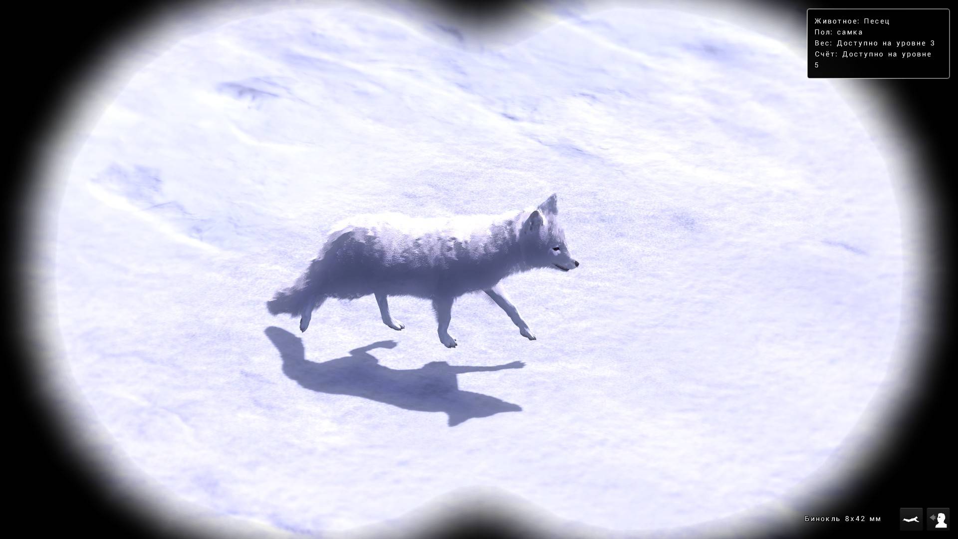 TheHunter Classic