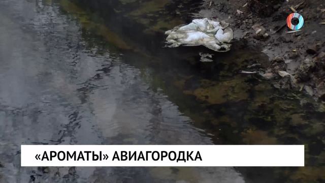 «Ароматы» авиагородка