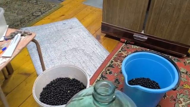 будущие винцо
