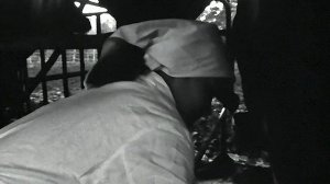 1977 год. Тюменский район. Вечерняя дойка