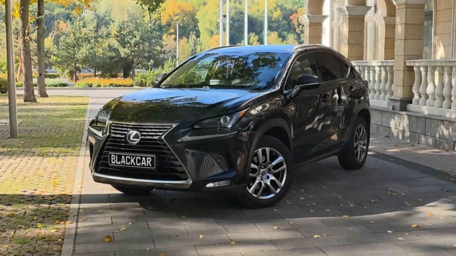 Аренда Lexus NX 200 2019 г.в.