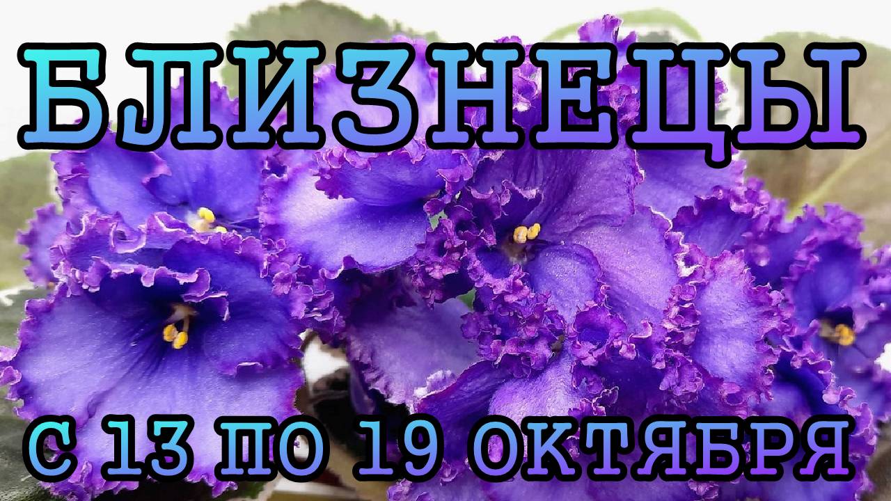 БЛИЗНЕЦЫ таро прогноз на неделю с 13 по 19 ОКТЯБРЯ 2025 года.
