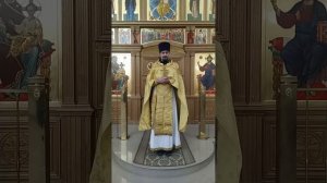 Память Апостола Евангелиста Иоанна Богослова. О любви к Богу. Проповедь о. Вячеслава. 9.10.25