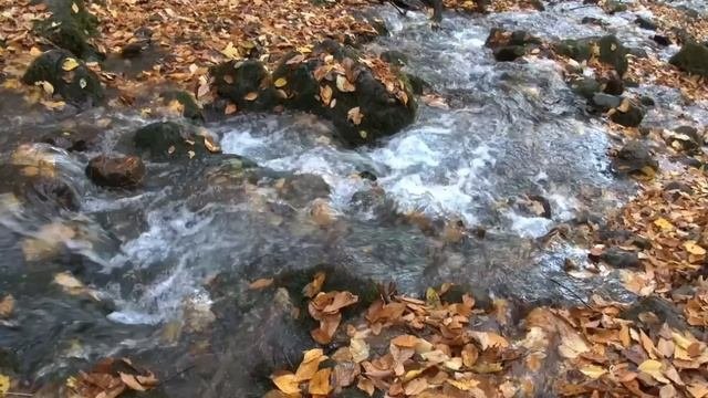 звук ручья и пение птиц