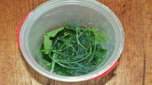 Малосольные огурцы в горячем рассоле