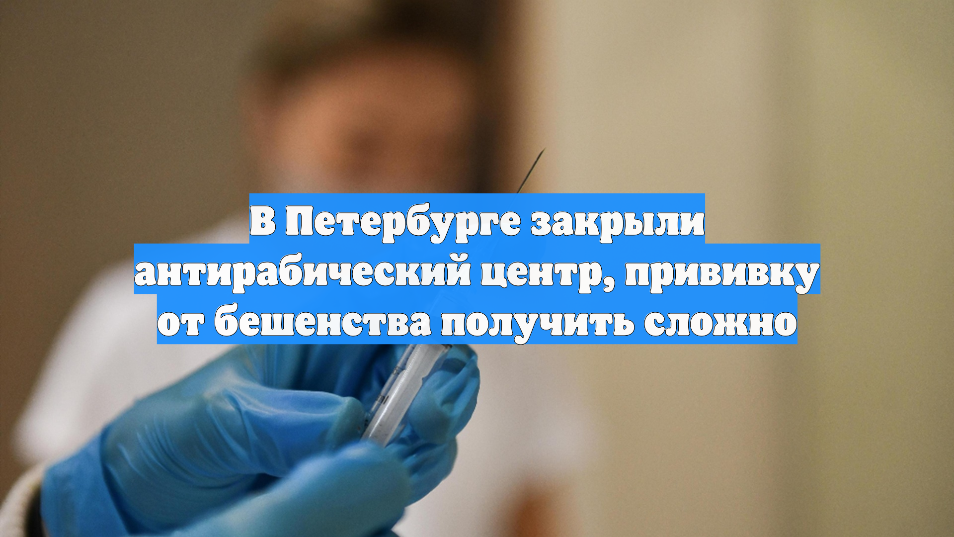 В Петербурге закрыли антирабический центр, прививку от бешенства получить сложно
