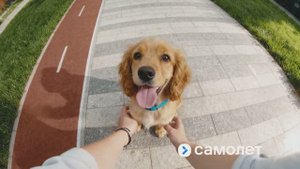 Строим кварталы для жизни с заботой о будущем