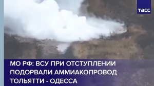 МО РФ: ВСУ при отступлении подорвали аммиакопровод Тольятти - Одесса
