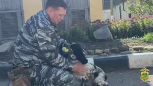 Ежедневные тренировки