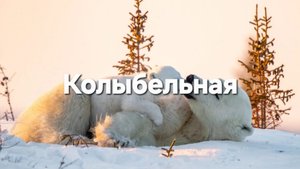 Колыбельная