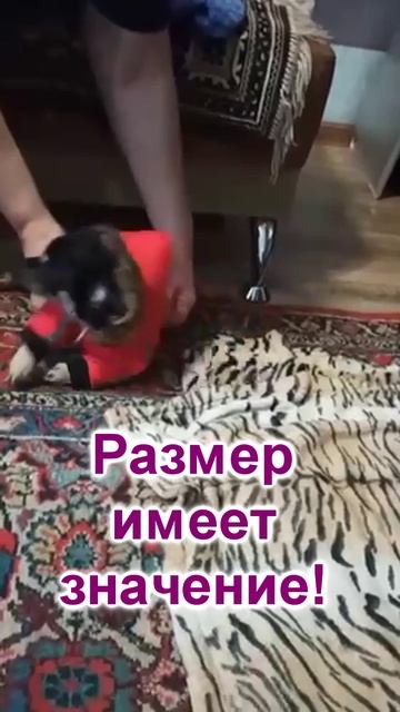 Размер имеет значение! (34)