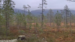 Не удавшееся путешествие в ущелье Железные врата