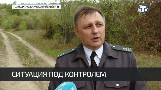 В Крыму прошли совместные проверки
